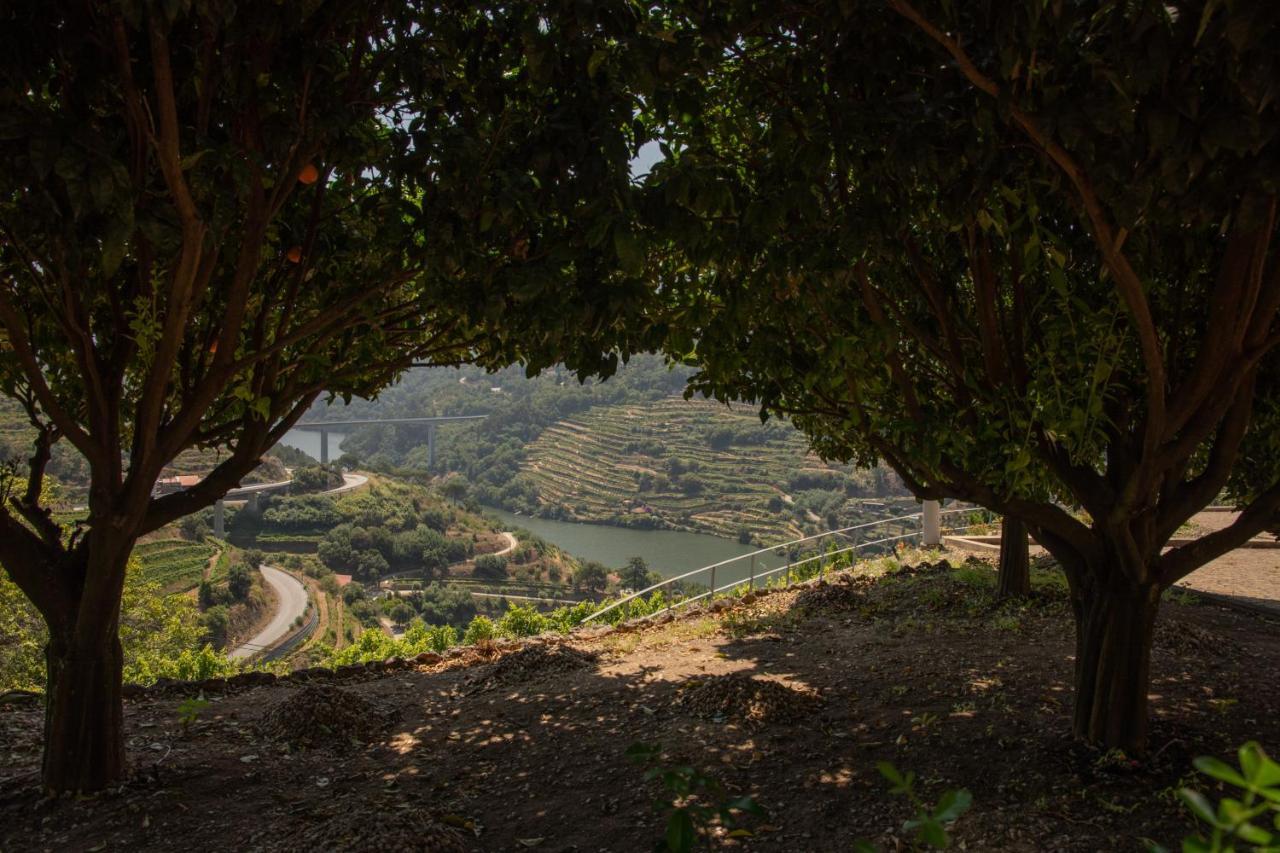 דירות Baião Quinta Da Granja מראה חיצוני תמונה