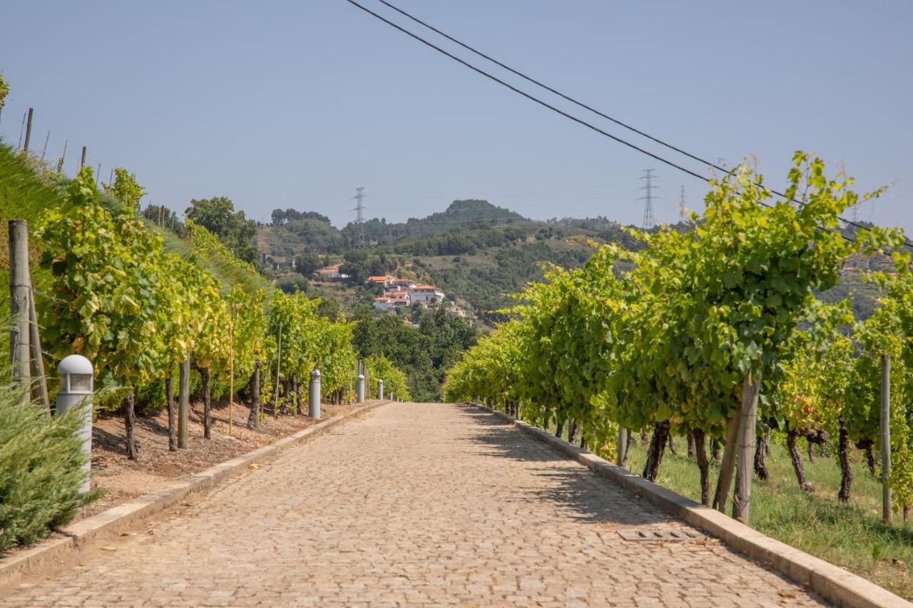 דירות Baião Quinta Da Granja מראה חיצוני תמונה